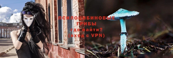 spice Вяземский