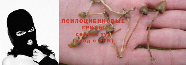 spice Вяземский
