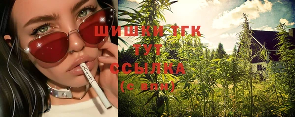 дживик Волоколамск
