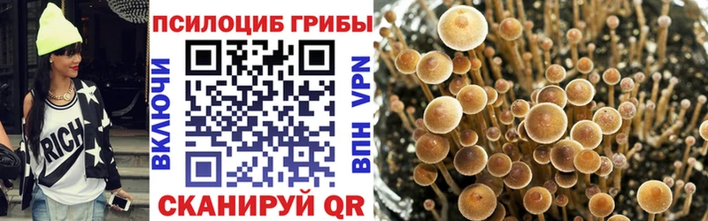 Псилоцибиновые грибы Cubensis  мега вход  Жигулёвск  магазин продажи наркотиков 